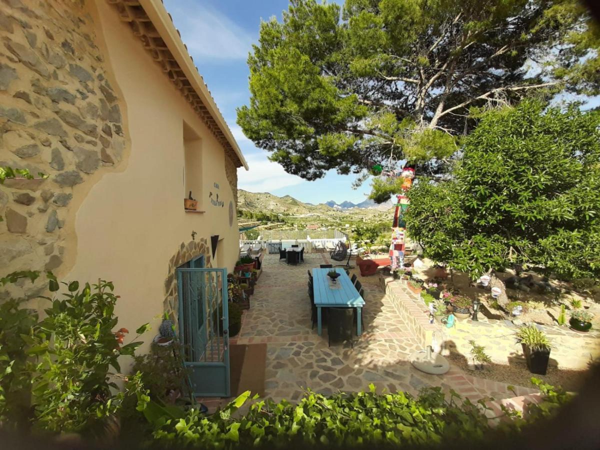 Casa Pura Vida Acomodação com café da manhã Relleu Exterior foto
